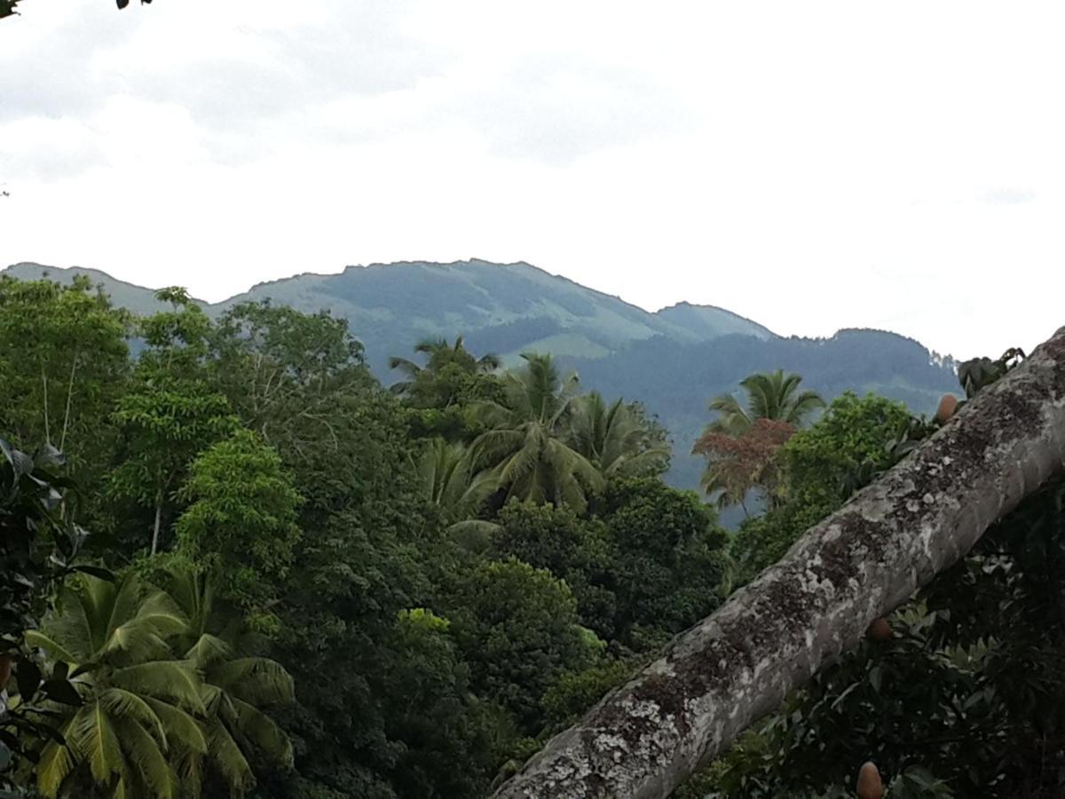 Hanthana View Peradeniya Exterior photo